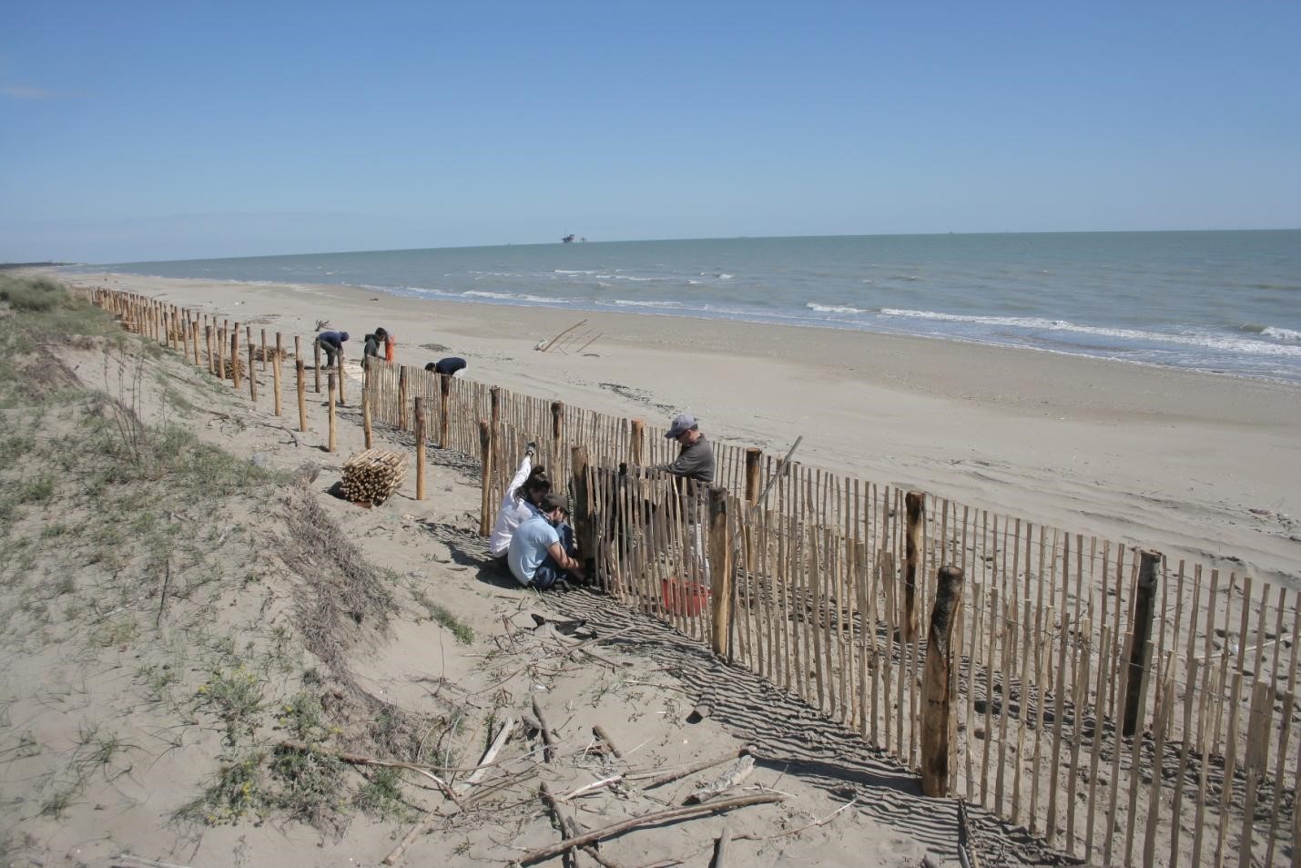 Dune construction and strengthening - AdriAdapt